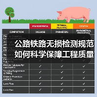 公路铁路无损检测规范如何科学保障工程质量?(图3) 公路铁路无损检测规范如何科学保障工程质量?(图3)
