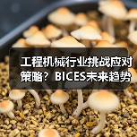 工程机械行业挑战应对策略?BICES未来趋势前瞻(图4) 工程机械行业挑战应对策略?BICES未来趋势前瞻(图4)