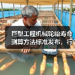 巨型工程机械轮胎寿命测算方法标准发布,行业新规范落地(图4) 巨型工程机械轮胎寿命测算方法标准发布,行业新规范落地(图4)