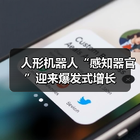 人形机器人“感知器官”迎来爆发式增长(图2) 人形机器人“感知器官”迎来爆发式增长(图2)