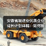 安徽省制造业优质企业成长计划详解:如何推动企业梯度发展?(图4) 安徽省制造业优质企业成长计划详解:如何推动企业梯度发展?(图4)