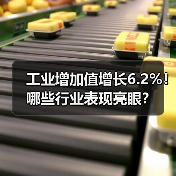 工业增加值增长6.2%！哪些行业表现亮眼？(图2)