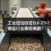 工业增加值增长6.2%！哪些行业表现亮眼？(图3)