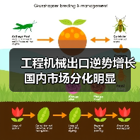 工程机械出口逆势增长 国内市场分化明显(图4) 工程机械出口逆势增长 国内市场分化明显(图4)