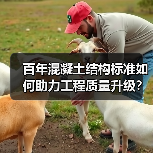 百年混凝土结构标准如何助力工程质量升级？(图2)