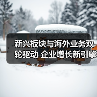 新兴板块与海外业务双轮驱动 企业增长新引擎(图1)