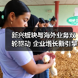 新兴板块与海外业务双轮驱动 企业增长新引擎(图2)