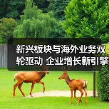 新兴板块与海外业务双轮驱动 企业增长新引擎(图3)