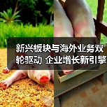 新兴板块与海外业务双轮驱动 企业增长新引擎(图4)