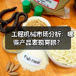 工程机械市场分析：哪些产品表现亮眼？(图1)