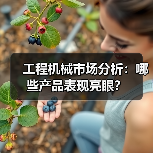 工程机械市场分析：哪些产品表现亮眼？(图3)