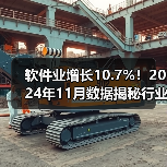 软件业增长10.7%!2024年11月数据揭秘行业趋势(图4) 软件业增长10.7%!2024年11月数据揭秘行业趋势(图4)