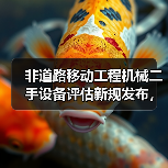 非道路移动工程机械二手设备评估新规发布，如何应对？(图1)