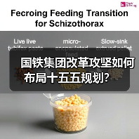 国铁集团改革攻坚如何布局十五五规划?(图4) 国铁集团改革攻坚如何布局十五五规划?(图4)