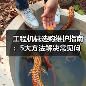 工程机械选购维护指南：5大方法解决常见问题(图2)
