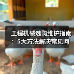 工程机械选购维护指南：5大方法解决常见问题(图3)