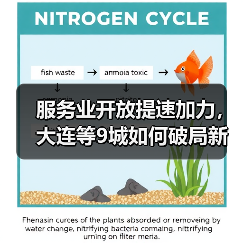 服务业开放提速加力,大连等9城如何破局新赛道?(图3) 服务业开放提速加力,大连等9城如何破局新赛道?(图3)