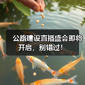 公路建设直播盛会即将开启，别错过！(图3)