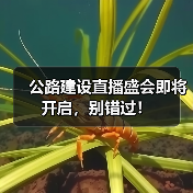 公路建设直播盛会即将开启，别错过！(图2)