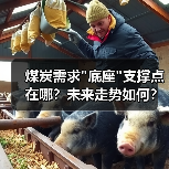 煤炭需求 煤炭需求底座支撑点在哪?未来走势如何?(图1)