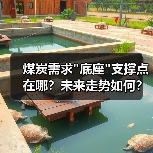 煤炭需求 煤炭需求底座支撑点在哪?未来走势如何?(图4)
