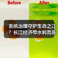 系统治理守护生命之江？长江经济带水利高质量发展路径(图3)