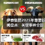 伊泰集团2025年重要新闻盘点:关键事件全回顾(图1) 伊泰集团2025年重要新闻盘点:关键事件全回顾(图1)