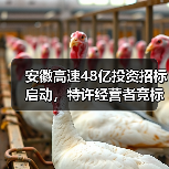 安徽高速48亿投资招标启动,特许经营者竞标机会来了!(图3) 安徽高速48亿投资招标启动,特许经营者竞标机会来了!(图3)