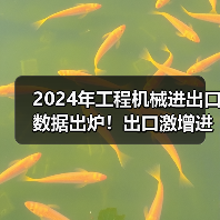 2024年工程机械进出口数据出炉！出口激增进口却下滑？(图3)