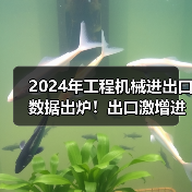 2024年工程机械进出口数据出炉！出口激增进口却下滑？(图4)