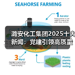 潞安化工集团2025十大新闻:党建引领高质量发展路径解析(图4) 潞安化工集团2025十大新闻:党建引领高质量发展路径解析(图4)