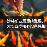 沙特矿业展重磅登场,大宏立携核心设备亮相(图3) 沙特矿业展重磅登场,大宏立携核心设备亮相(图3)