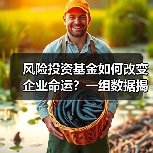 风险投资基金如何改变企业命运？一组数据揭示87.3%的颠覆性创新背后推手(图2)