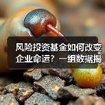 风险投资基金如何改变企业命运？一组数据揭示87.3%的颠覆性创新背后推手(图3)