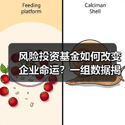 风险投资基金如何改变企业命运？一组数据揭示87.3%的颠覆性创新背后推手(图4)