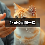 外国公司问责法(图3) 外国公司问责法(图3)