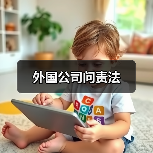 外国公司问责法(图4) 外国公司问责法(图4)