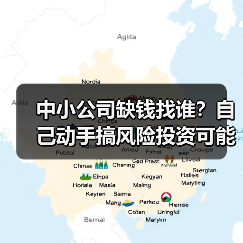 中小公司缺钱找谁?自己动手搞风险投资可能吗?(图3) 中小公司缺钱找谁?自己动手搞风险投资可能吗?(图3)