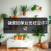 融资担保业务经营许可证(图2) 融资担保业务经营许可证(图2)