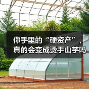 你手里的“硬资产”,真的会变成烫手山芋吗?——一个普通人的固定资产投资噩梦(图2) 你手里的“硬资产”,真的会变成烫手山芋吗?——一个普通人的固定资产投资噩梦(图2)
