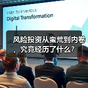 风险投资从蛮荒到内卷,究竟经历了什么?(图2) 风险投资从蛮荒到内卷,究竟经历了什么?(图2)
