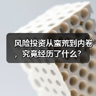 风险投资从蛮荒到内卷,究竟经历了什么?(图3) 风险投资从蛮荒到内卷,究竟经历了什么?(图3)