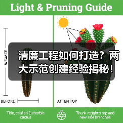 清廉工程如何打造?两大示范创建经验揭秘!(图3) 清廉工程如何打造?两大示范创建经验揭秘!(图3)