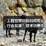 工程管理创新如何驱动行业发展？技术创新引